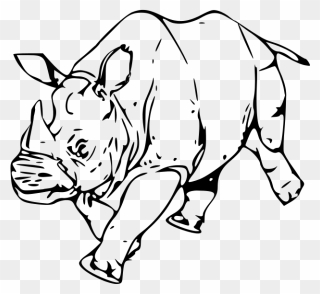 Rhinoceros - Rhino Drawing Free Png Clipart