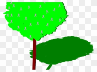 Shadow Of A Tree Clipart