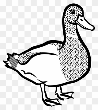 Duck Lineart Big Image - Duck Clipart Black And White Png Transparent Png