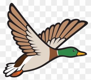 Goose Clipart Bird Fly, Goose Bird Fly Transparent - Flying Goose Clip Art - Png Download