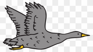 Gray Goose Clip Art - Png Download