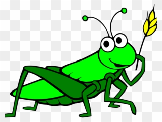 Clip Freeuse Download Grasshopper Clipart Cartoon - Grasshopper Clipart Transparent - Png Download