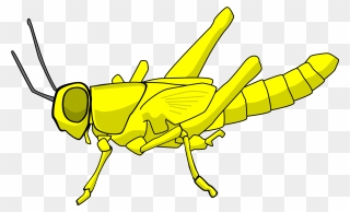 Cartoon Locust Clipart
