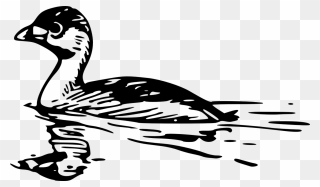 Goose Clipart Mama Duck - Duck In Water Black White Clipart - Png Download