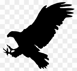 Bald Eagle Bird Silhouette - Bald Eagle Silhouette Clipart