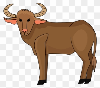 Buffalo Clipart - Png Download