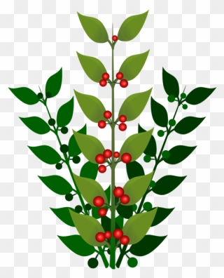 Plant,flower,leaf - Berries On A Tree Clipart - Png Download
