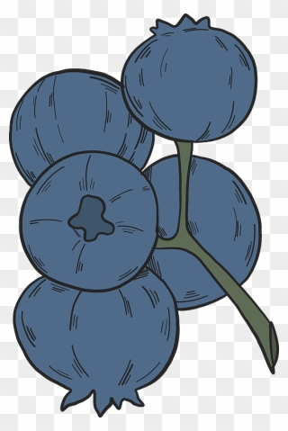 Blueberry Clipart - Illustration - Png Download