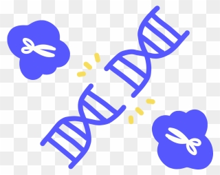 Image Of Blue Dna Being Cleaved In Half By Proteins - Chromosome Black And White Clipart