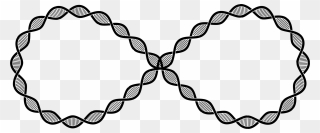 Line Art,angle,symmetry - Dna Infinity Clipart