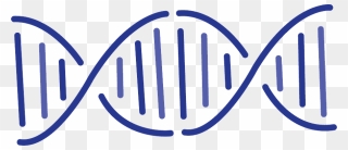 Dna Png - Transparent Background Genes Clipart