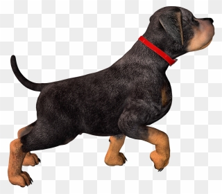 Hunting Dog Png Hd Transparent Hunting Dog Hd Images - Dog With Collar Png Clipart