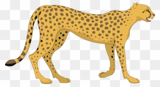 Cat Cheetah Walking Animal Ta - Cheetah Clipart - Png Download