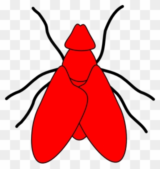 Transparent Fly Clipart - Fly Png Red