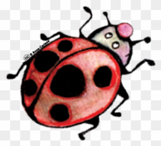 Clipart Insectes Gratuit - Ladybug - Png Download
