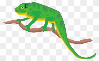 Branch Green Chameleon Standing Png Image Chameleon - Chameleon Clipart Png Transparent Png