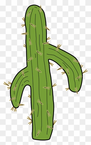 San Pedro Cactus Clipart