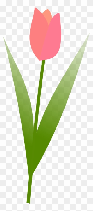 Tulip Clipart Simple - Clip Art Tulips No Background - Png Download