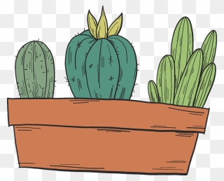 Cactuses In A Pot Clipart - Illustration - Png Download
