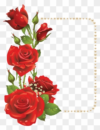Transparent Roses Clipart - Rose Flower Frames Design Png