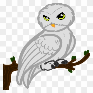 Collection Of Free Hedwig Drawing Realistic Download - Harry Potter Clipart