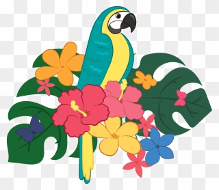 Parrot Clipart - Macaw - Png Download