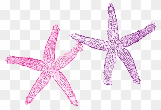 Fish Clip Art , Png Download - Transparent Background Purple Starfish Clipart