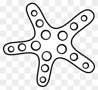 Drawing Starfish Ink - Starfish Clipart Black And White - Png Download