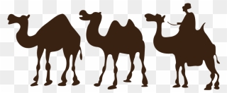 Camel Desert Drawing Clip Art - Sahara Desert Clip Art - Png Download