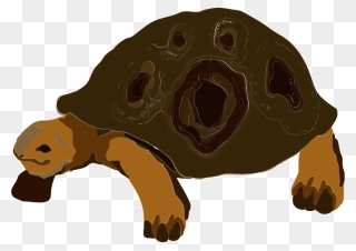 Tortoise Animal Clipart - リクガメ イラスト フリー - Png Download
