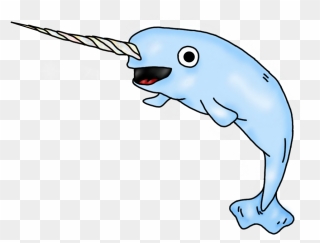 Narwhal Clipart - Png Download