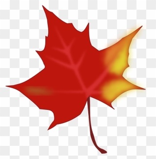 Maple Leaf Clipart Yellow Fall Leaf - Cartoon Autumn Leaf Transparent - Png Download