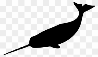 Narwhal Whale Drawing Clip Art - Narwhal Silhouette - Png Download