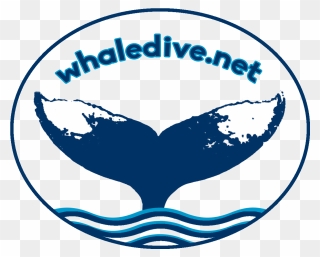 Swim With Humpback Whales Clipart