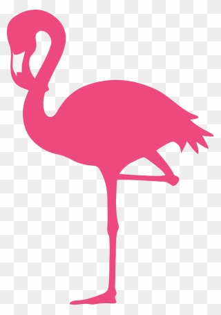 Clear Background Flamingo Transparent Clipart