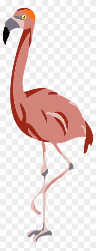 Albert Flamingo Clipart Full Size Clipart 4169153 Pinclipart