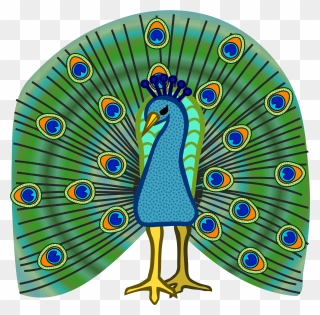 Peacock Clip Art - Coloured Picture Of Peacock - Png Download