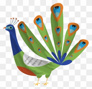 Peacock Clipart - Png Download