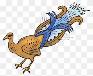 Peafowl Clipart