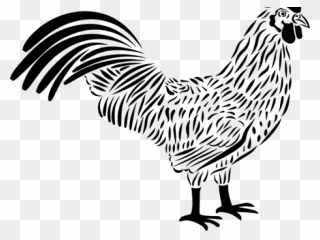 Rooster Clipart Vector Black - Chicken Vector Png A3 Transparent Png
