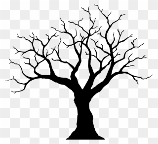 Cool Tree Clipart Picture Alistair Poole Picture - Cool Drawing Of A Tree - Png Download