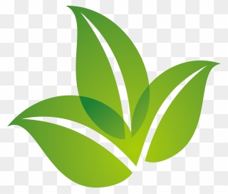 Logo Design Leaf Green Spring Free Transparent Image - Transparent Background Leaves Logo Transparent Clipart