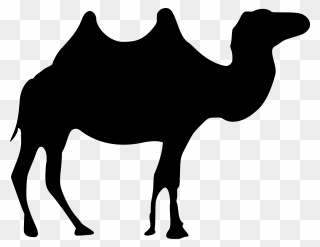 Black Camel Clipart Png Transparent Png