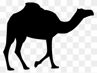 Camel Clipart Kabubi - Clipart Transparent Camel Png