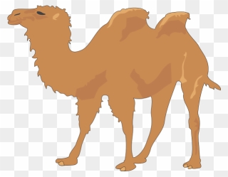 Camel With Two Humps Png Icons - Happy Hump Day Clipart