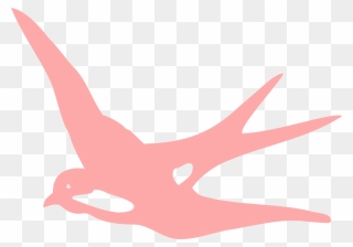 Pink Swallow Clipart