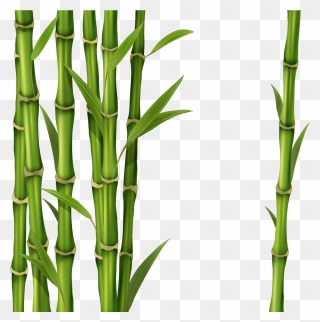 Bamboo Clip Art - Transparent Background Bamboo Clipart - Png Download