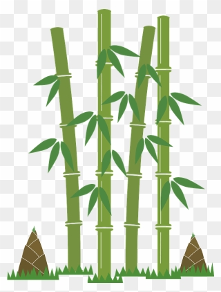 Bamboo Shoot Clipart - Gambar Animasi Pohon Bambu - Png Download