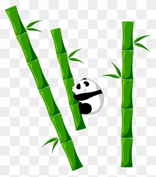 Bamboo Png - Clipart Bamboo With Panda Transparent Png