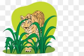 Tiger Clipart Png - Free Png Animal Clipart Download Transparent Png